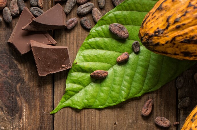 Chocolate bars, beans and pods on a wood table with a big green leaf. 