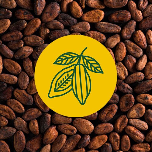 A yellow circle with an illustration of a cocoa plant on an image of a pile of cocoa nibs.