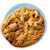 Close up of a chocolate chip cookie, on a blue background.
