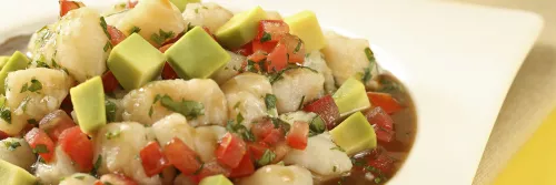 Easy Ceviche Long Right