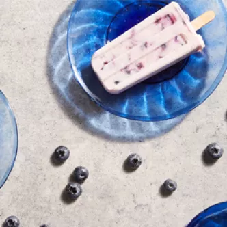 Blueberry Coconut Ice Pops