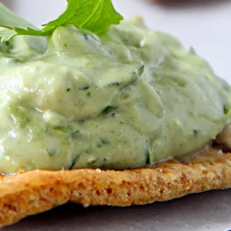 Avocado Cilantro Dip Long Right