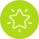 White vector illustration of a shining star in a green circle.